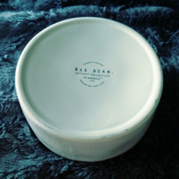 🆕Rae Dunn HTF Teal "SAVOR" Pet Food Bowl🐶 - Picture 3 of 3